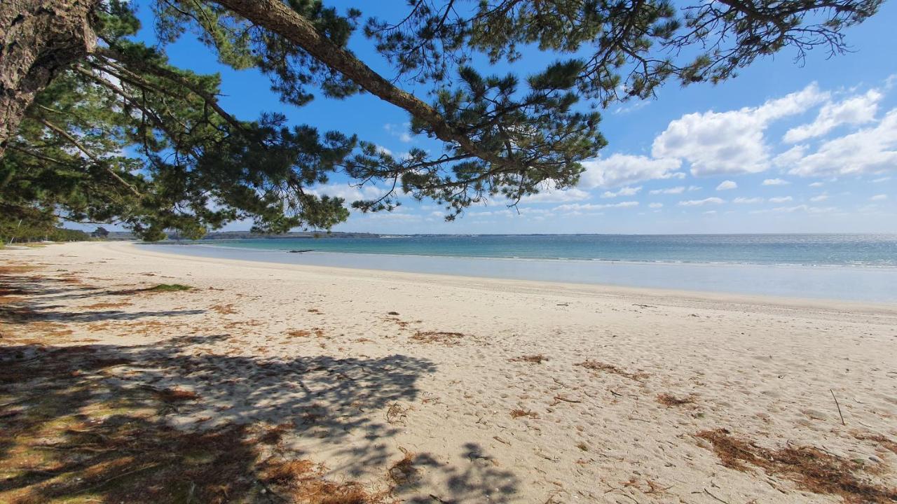 Vacances O Cap Coz - Jardin Vue Mer Et Piscine - Residence Cap Azur Fouesnant Kültér fotó