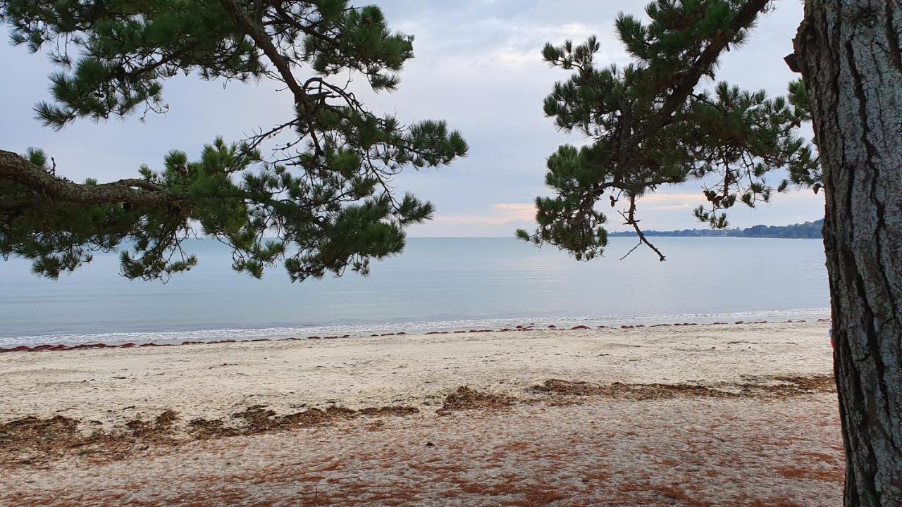 Vacances O Cap Coz - Jardin Vue Mer Et Piscine - Residence Cap Azur Fouesnant Kültér fotó